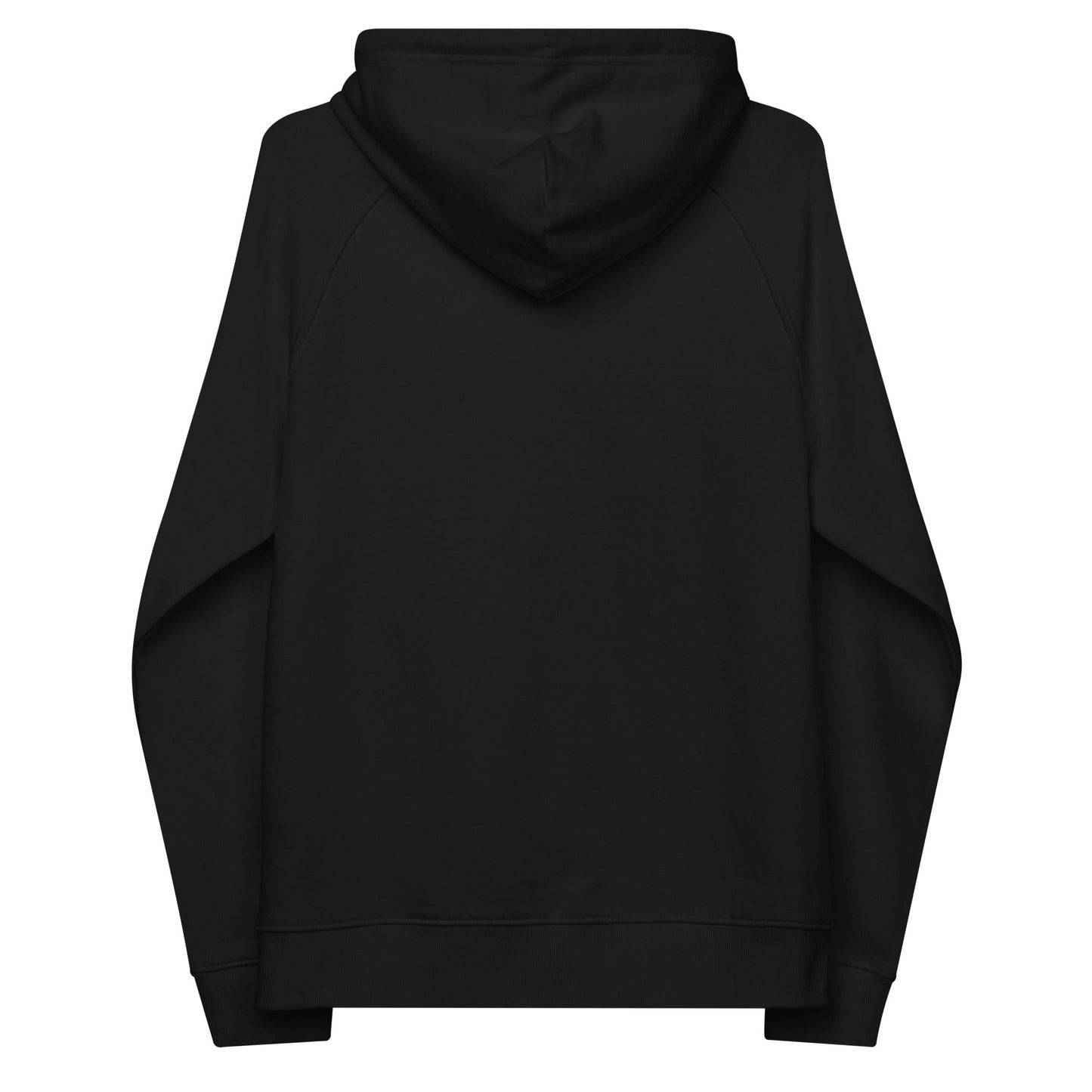 unlearn-relearn-hoodie-m2 unisex-eco-raglan-hoodie-black-back-647547b169f25.jpg