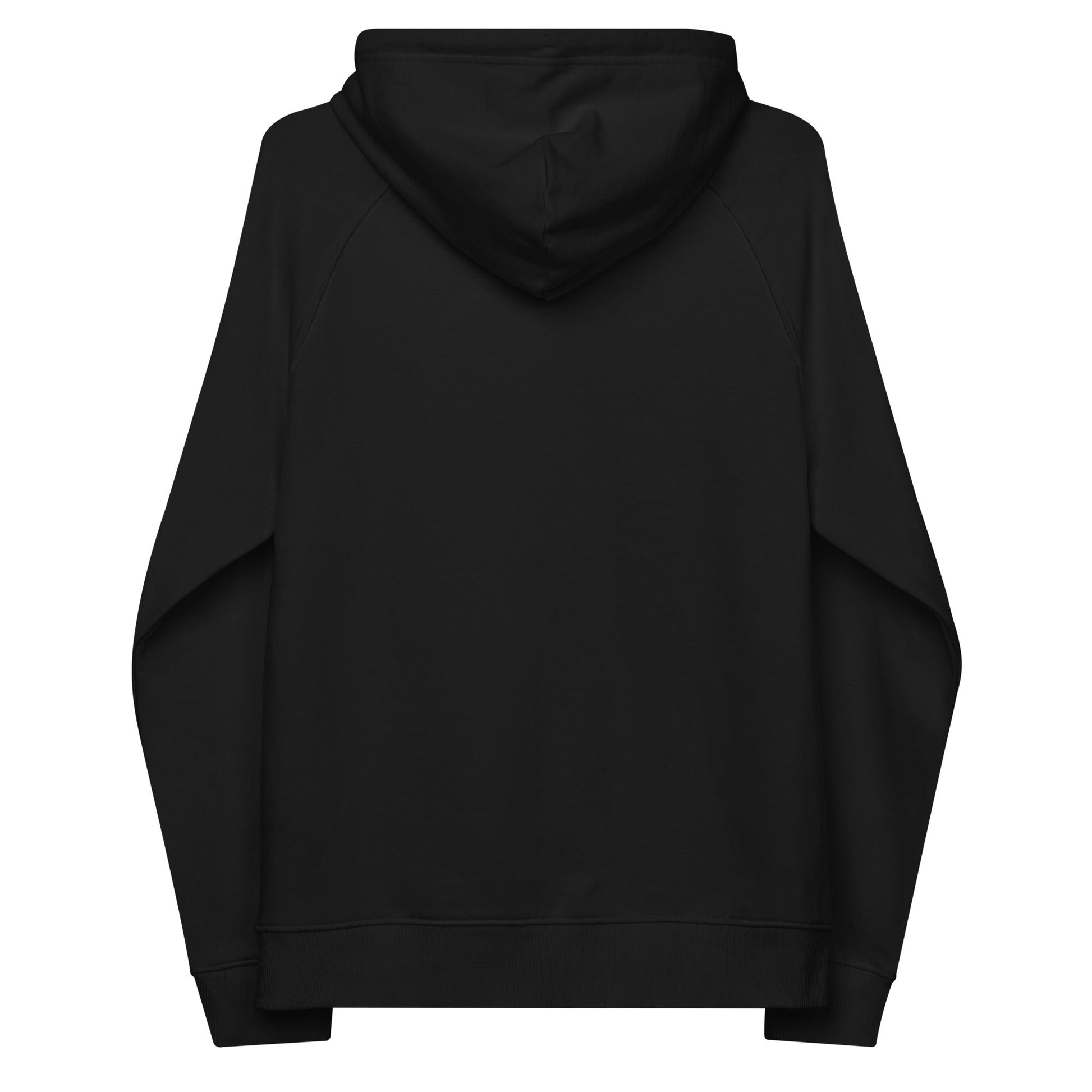 unlearn-relearn-hoodie-m2 unisex-eco-raglan-hoodie-black-back-647547b169f25.jpg